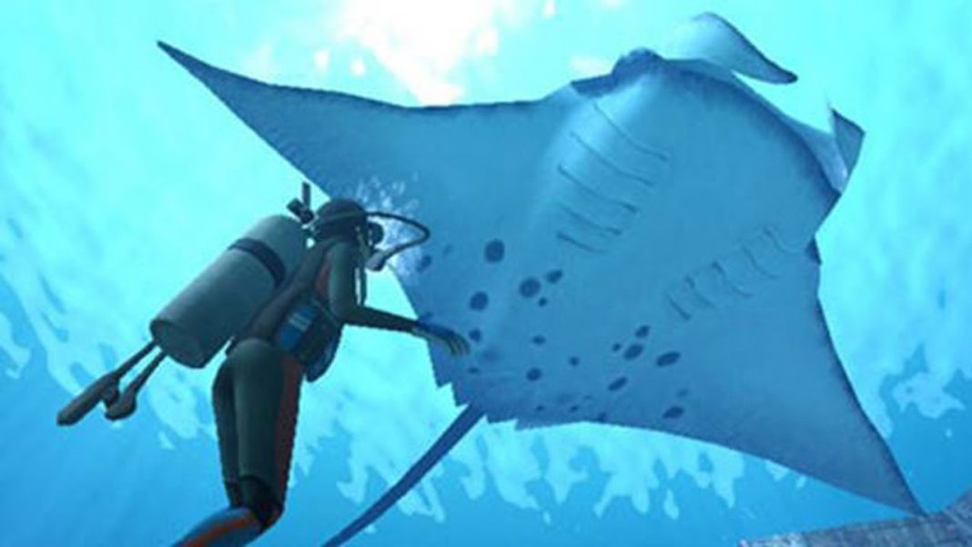 Rayas o mantarrayas Qué vemos realmente al hacer snorkel