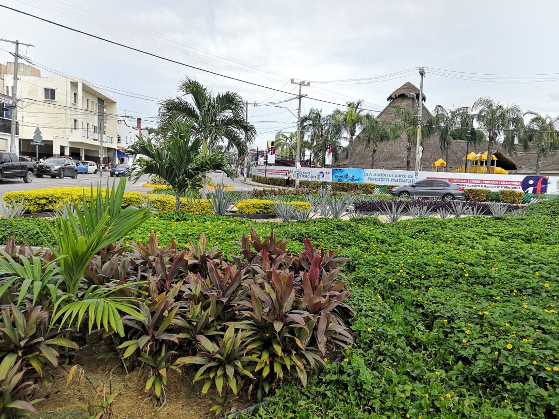 calle luciérnaga