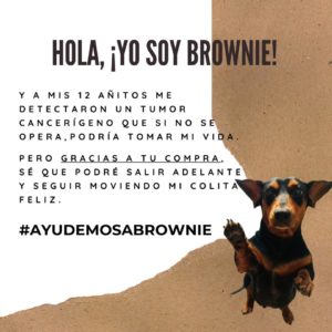 Ayudemos a Brownie 2