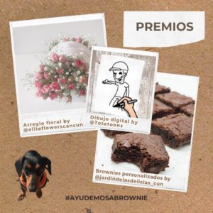 Ayudemos a Brownie 3