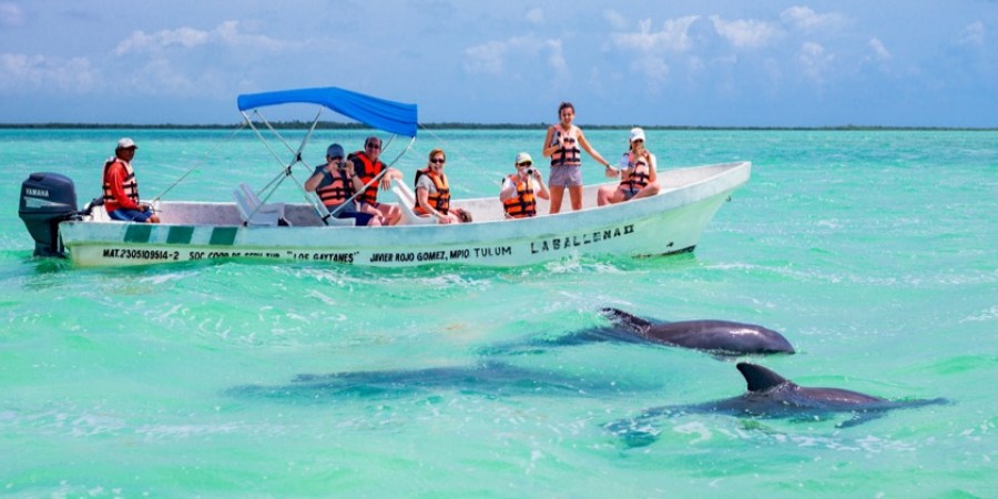 Punta-Allen-delfines