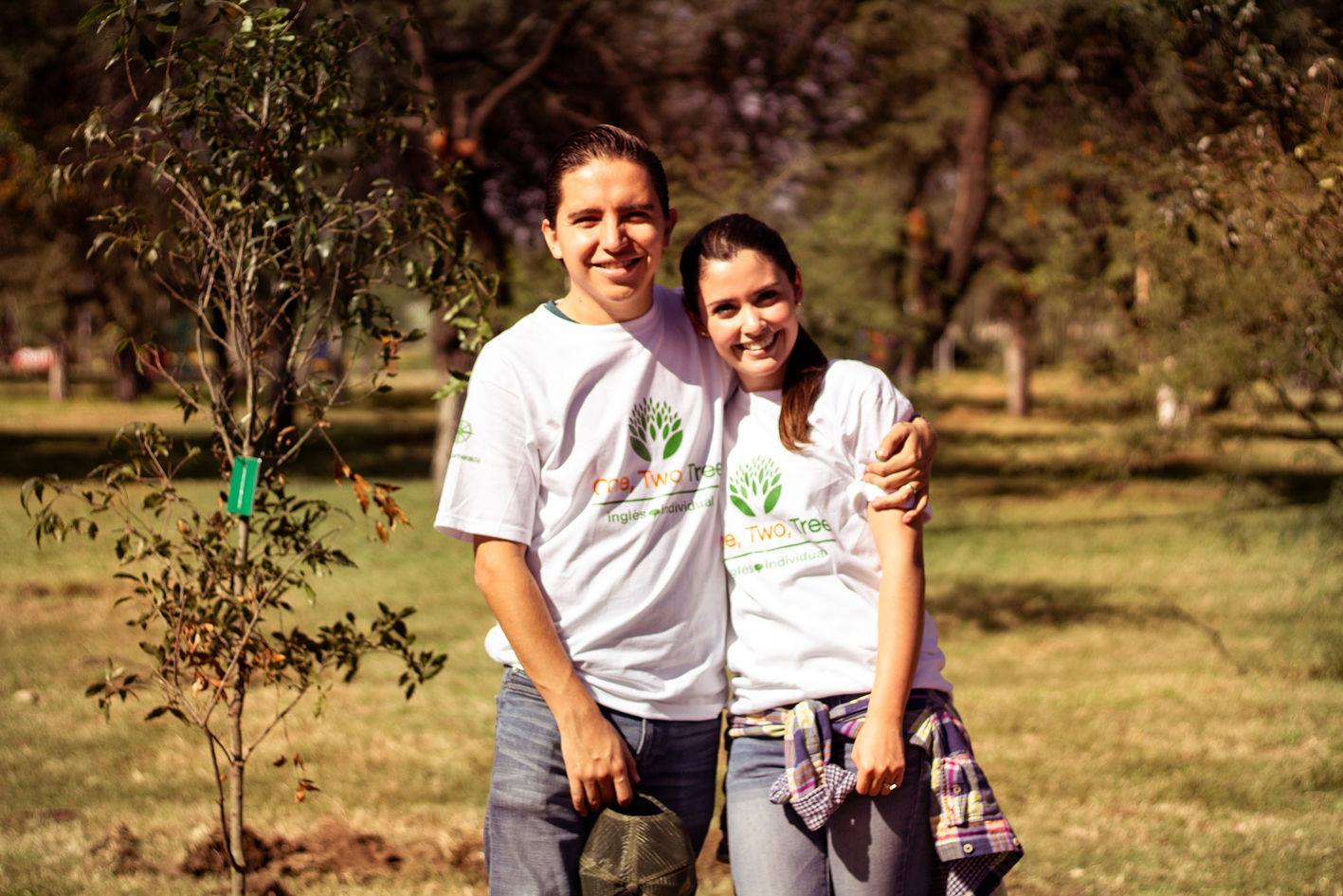 reforestación en Cancún