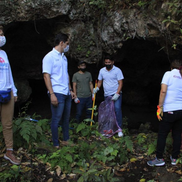 trabajo con cenotes