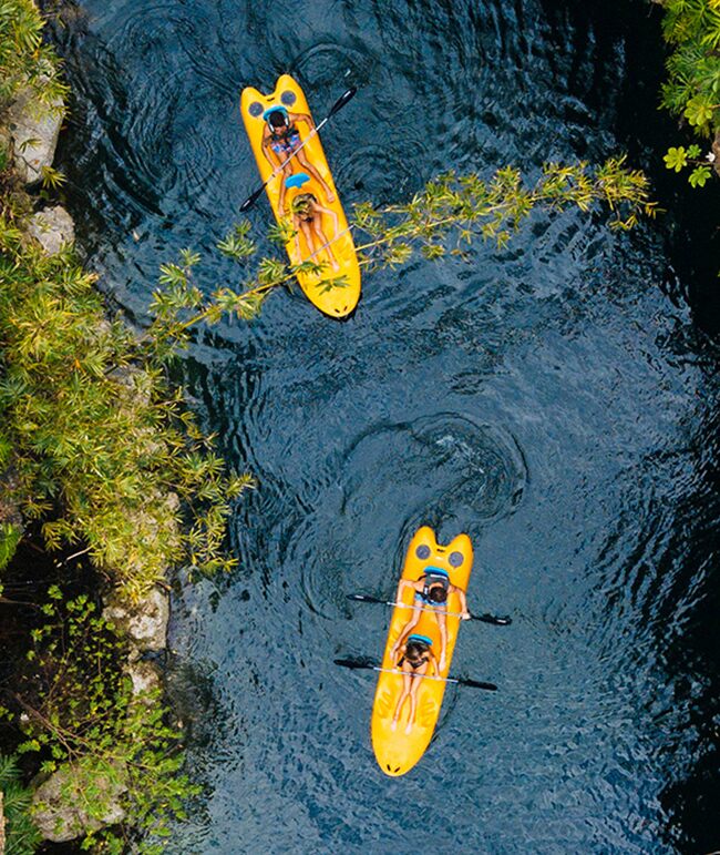 Kayak