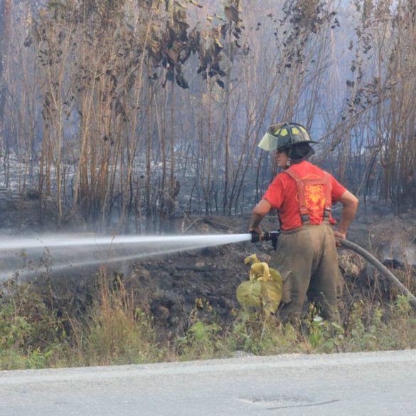 incendios