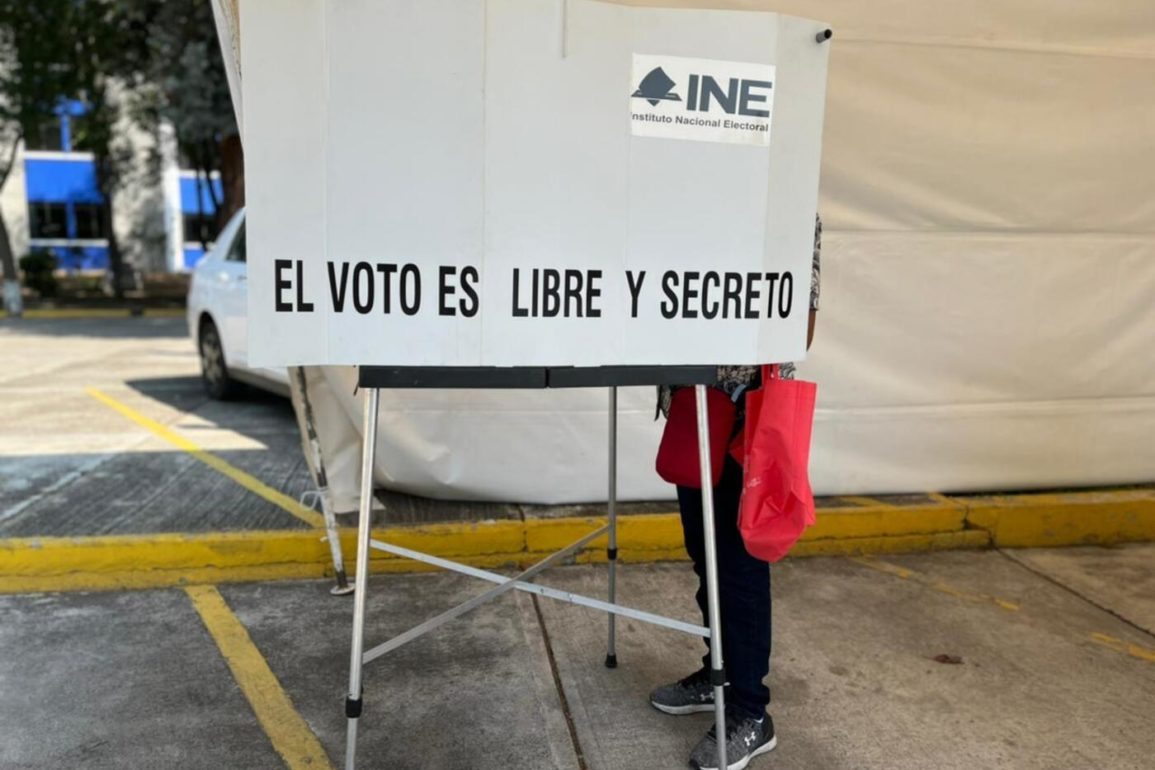 Funcionario de casilla